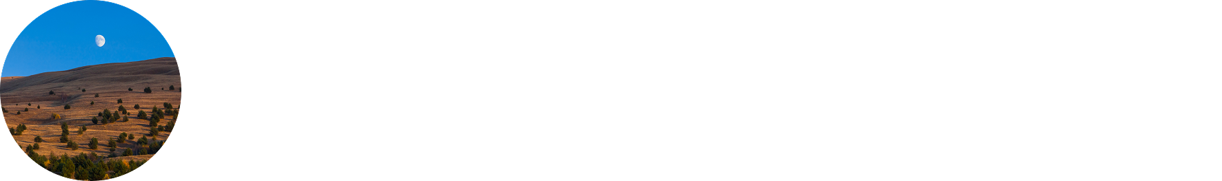 Логотип Нохчо-Травел